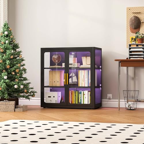Glass Cabinet Display - Vitrinekast met glazen deuren en RGB-verlichting